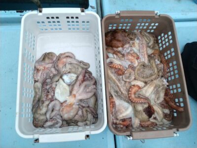 image4_2.jpeg