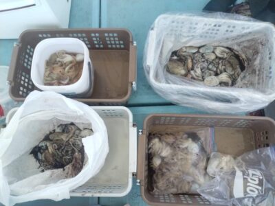 image0_5.jpeg