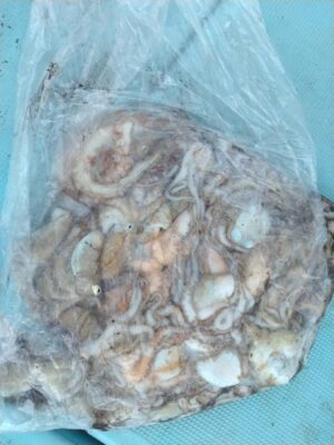 image1_4.jpeg