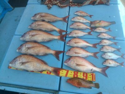 image0_3.jpeg