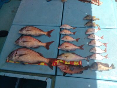 image0.jpeg